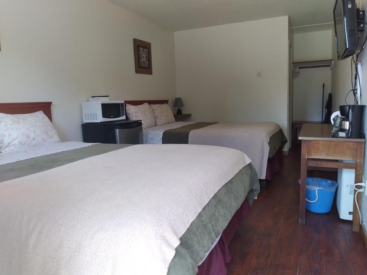 توفينو Dolphin Motel المظهر الخارجي الصورة