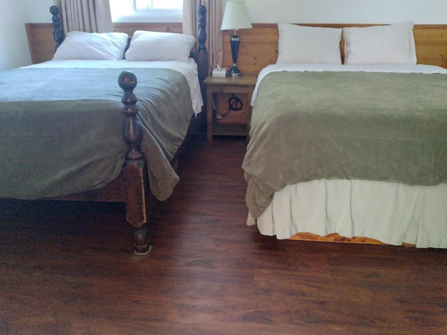 توفينو Dolphin Motel المظهر الخارجي الصورة
